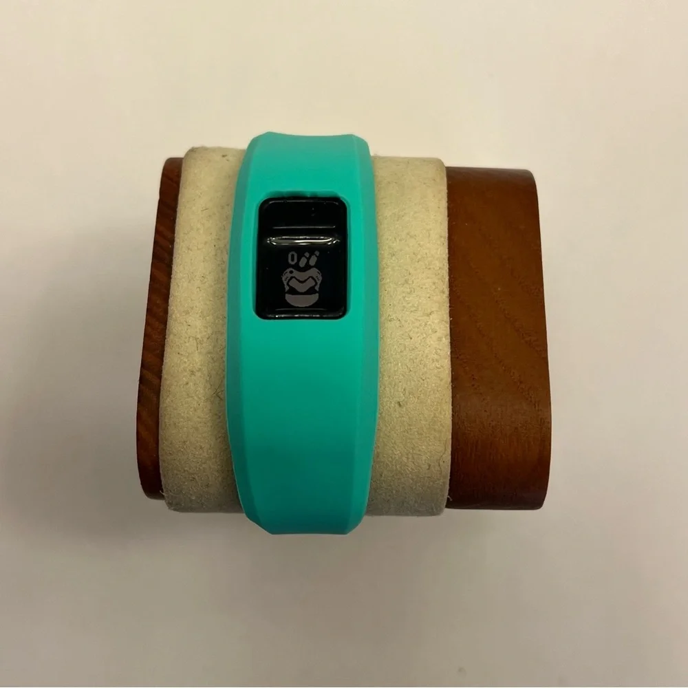 Garmin‎ Vivofit Jr.2 (kids smartwatch, tested)